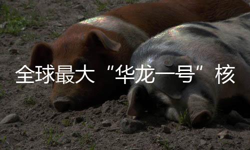 全球通过五道纵深防御