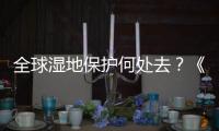 全球湿地保护何处去

？《湿地公约》科技委员会主席这么说