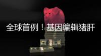 全球首例
	！基因编辑猪肝脏 被移植到人体