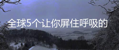 定期举办灯光节与环保论坛