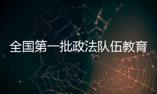 全国清除群从案发情况看