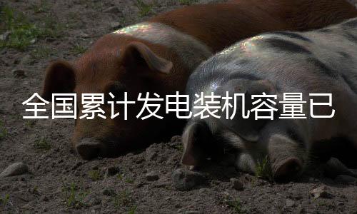全国推动基地项目尽快建成