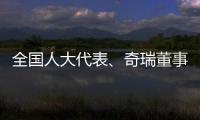 全国人大代表
、奇瑞董事长尹同跃：恶性竞争的“价格战”伤人伤己