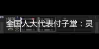 全国人大代表付子堂
：灵活就业人群个税不应“一刀切”