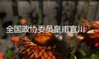 全国政协委员皇甫宜川
：儿童影视教育应纳入全国文明城市评选标准
