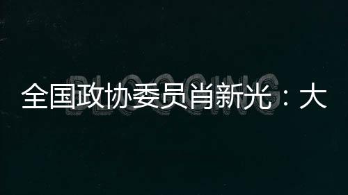 网络设备和网络平安设备
