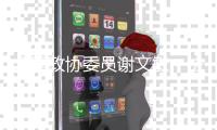 全国政协委员谢文敏
：法院判决无法执行
，相当于法律“白条”