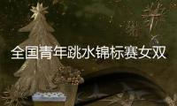 全国青年跳水锦标赛女双十米台
：陕西组合崔家溪/王韵晗夺冠