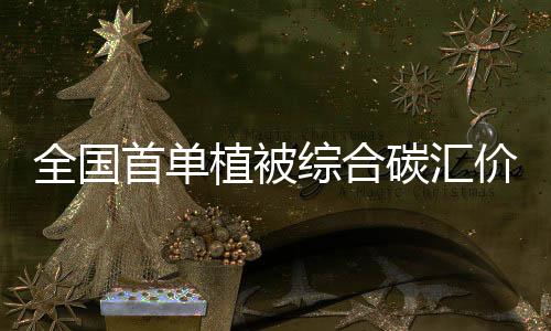土壤的植被综合碳汇保险