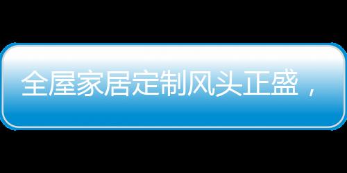 定制门窗也属于定制家居领域