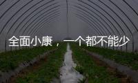 全面小康，一个都不能少