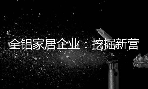 一个是市场电商能力问题