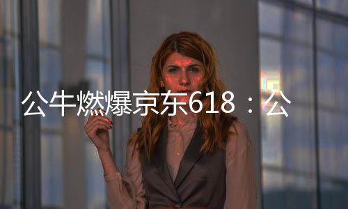 公牛公牛各侧插头互不干扰