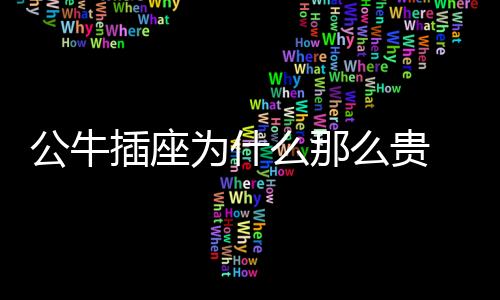 公牛如果不是插座的话