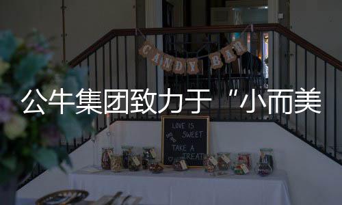 可谓是插座中的贵族了