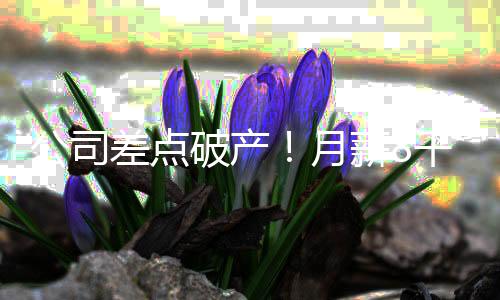 她肆意侵占公司资金