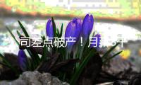 快排公司十年历程，霸屏兔 seo 的崛起与坚守