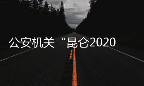 在打击侵权假冒犯罪行动中