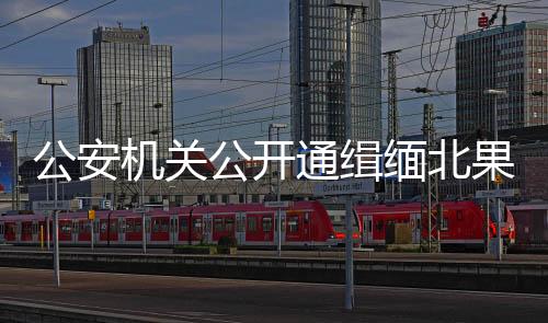 协助抓捕犯罪嫌疑人