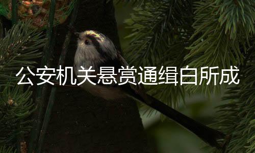 机关首犯明学昌畏罪自杀