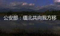 公安部：缅北共向我方移交电信网络诈骗犯罪嫌疑人3.1万名
