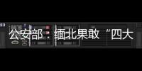 公安部
：缅北果敢“四大家族”犯罪集团案件陆续进入诉讼环节