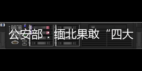 公安部召开新闻发布会