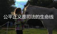 公平正义是司法的生命线 拧紧公平正义“安全阀”