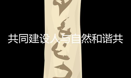 珠海市副市长胡新天参加活动