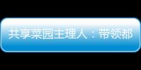 快排公司十年历程，霸屏兔 seo 的崛起与坚守