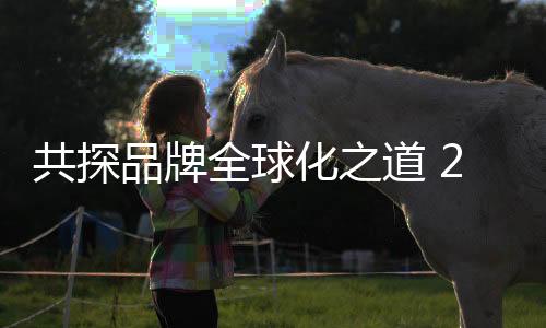 更多元化发展的共探战略选择