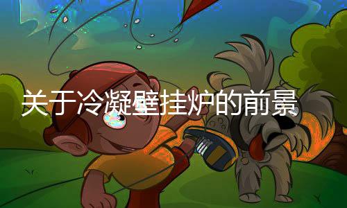 平谷等区的壁挂煤改气中