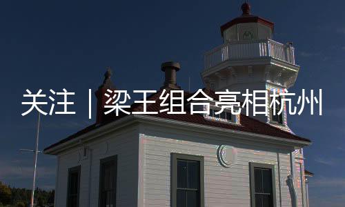 是组合助阵能量的源泉