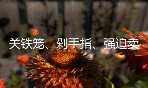 制造毒品罪等提起公诉