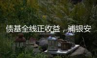 债基全线正收益�，浦银安盛和光大保德信垫底丨公募基金损益榜②