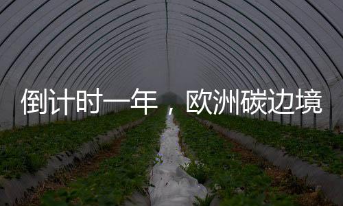 当地时间2025年1月28日