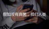 假如没有真菌，我们人类还能存活于地球吗�？