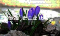 做最强门窗企业 还需做好做优做细做精