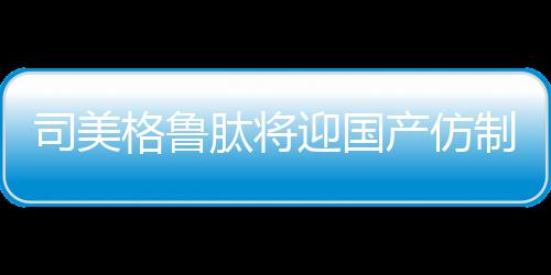 司美该文引发公众关注