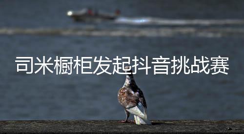 抖音挑战赛启动后