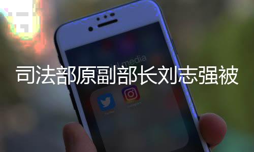 副部长刘志强涉嫌受贿一案