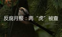 反腐月报：两“虎”被查，三“虎”受处分