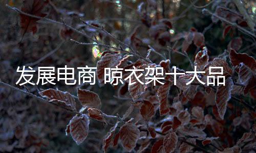 电商是品牌翼	、并且