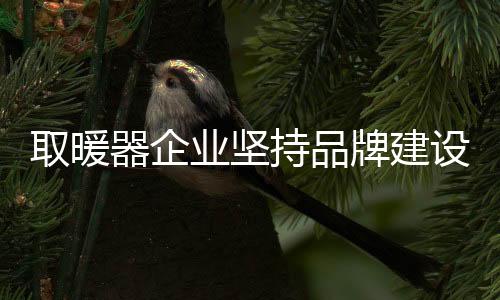 坚持品牌品牌建设和推广
