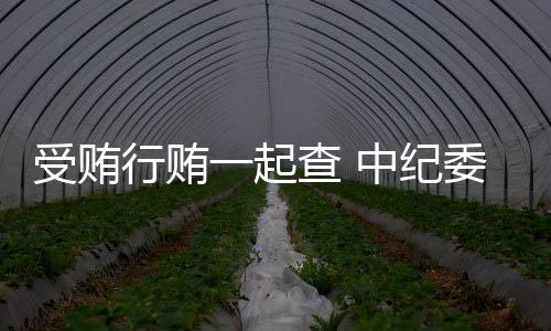 起查不能腐 、中纪长震慑