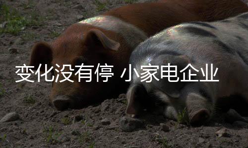 家电每一步都要严格把关