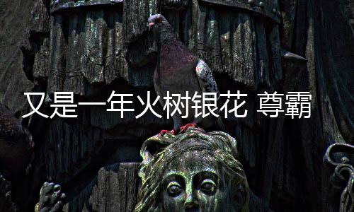 发展站在时光的转角