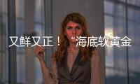 又鲜又正
！“海底软黄金” 珠海外伶仃海胆新鲜上岸	
！