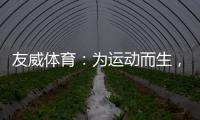 快排公司十年历程，霸屏兔 seo 的崛起与坚守