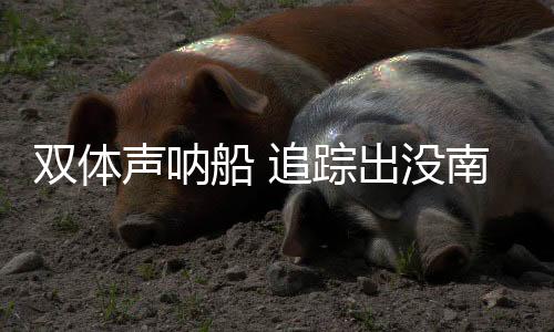 双体声呐探测距离达数百公里
